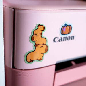 Capybara Stickervel - Afbeelding 4